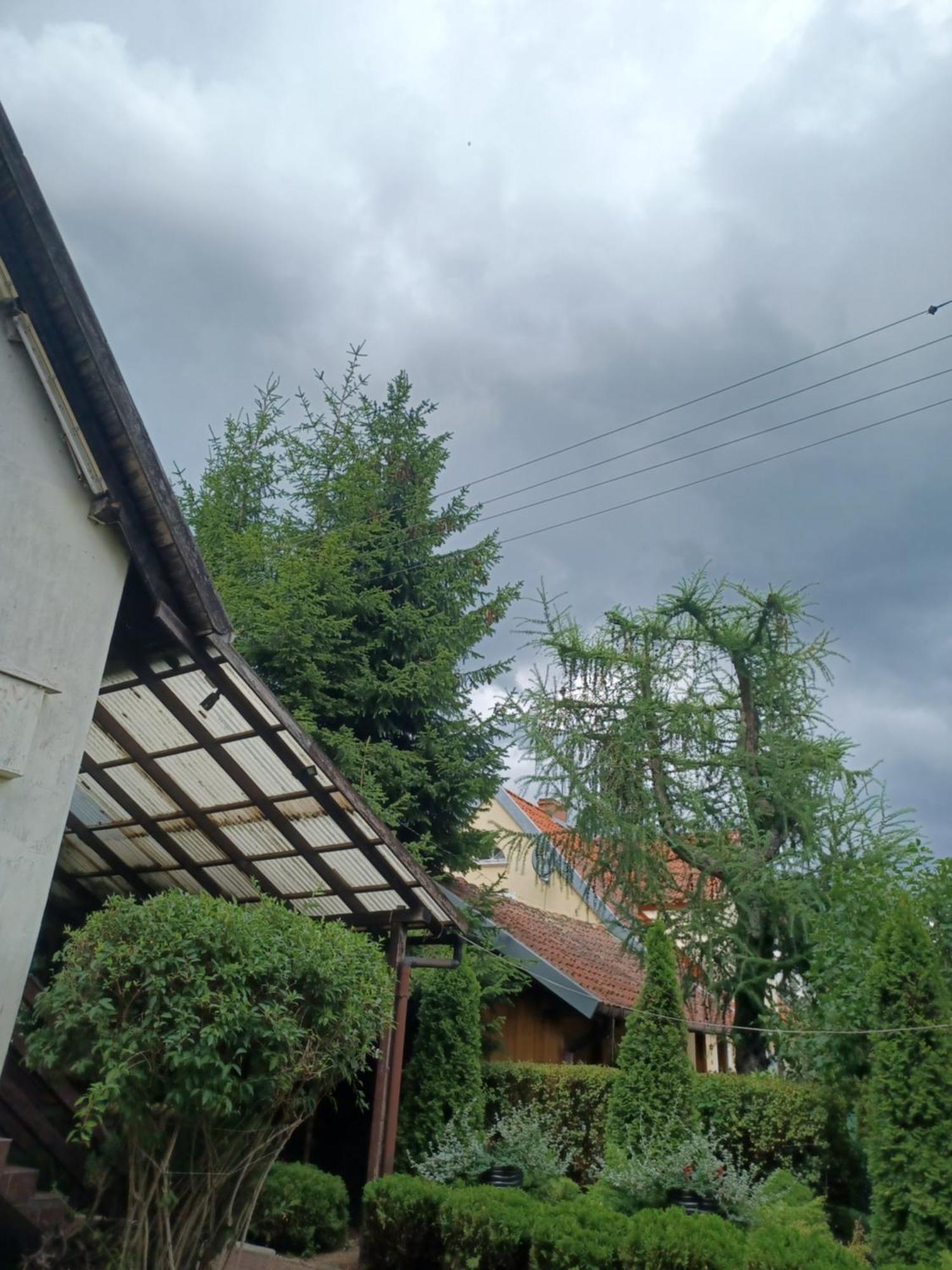 Apartamenty, Pokoje, Noclegi Pracownicze " Skarpa" Wilkasy Exterior photo