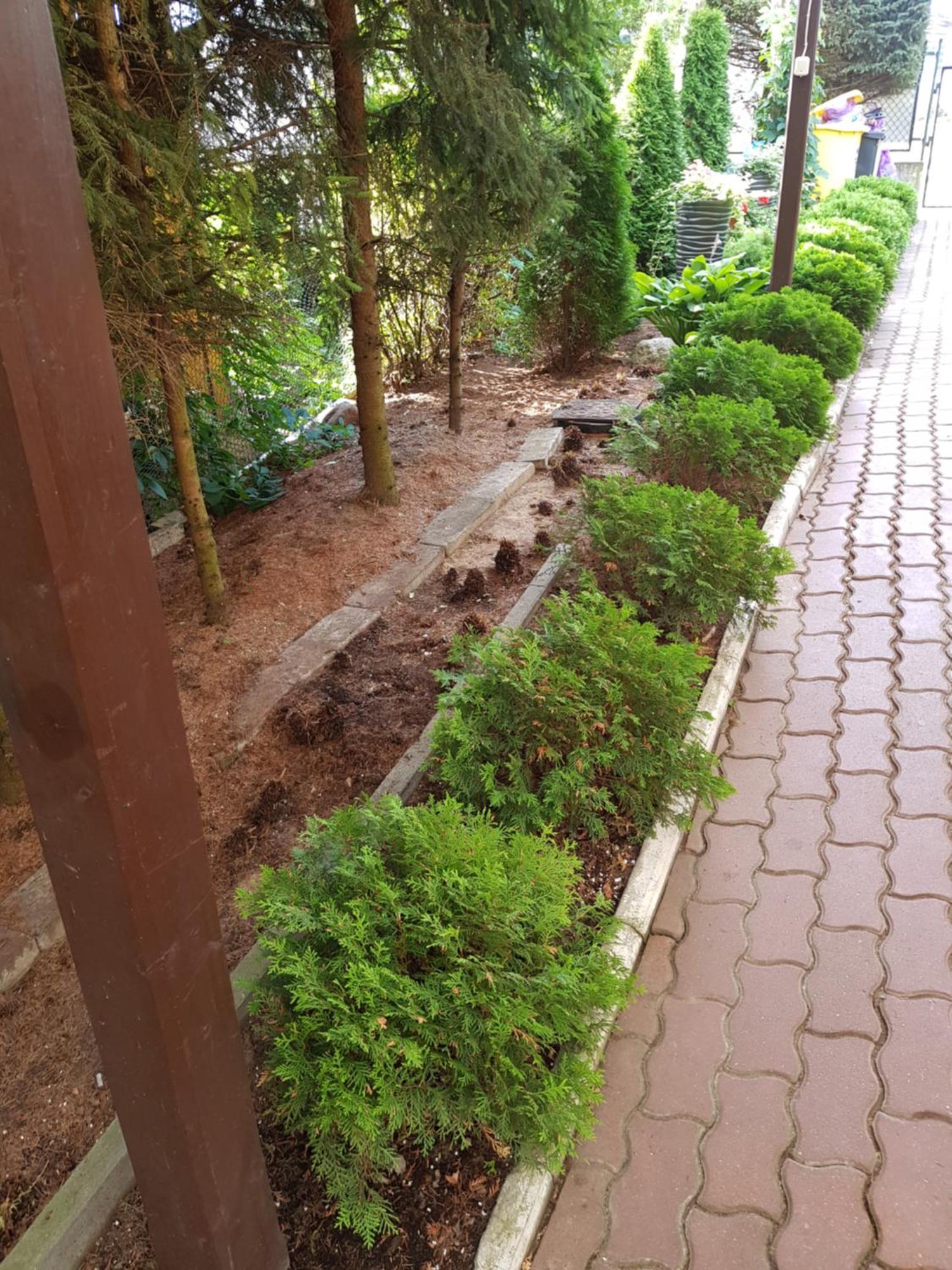 Apartamenty, Pokoje, Noclegi Pracownicze " Skarpa" Wilkasy Exterior photo